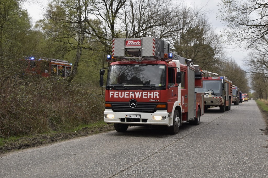 Waldbrand Wahner Heide Troisdorf Eisenweg P348.JPG - Miklos Laubert